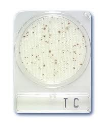 Compact Dry TC, összcsíraszám meghatározó teszt