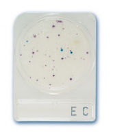 compact_dry_ec_ecoli_es_coliform_teszt.jpg