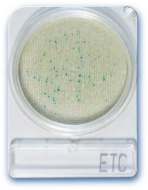 Compact Dry ETC, Enterococcus teszt
